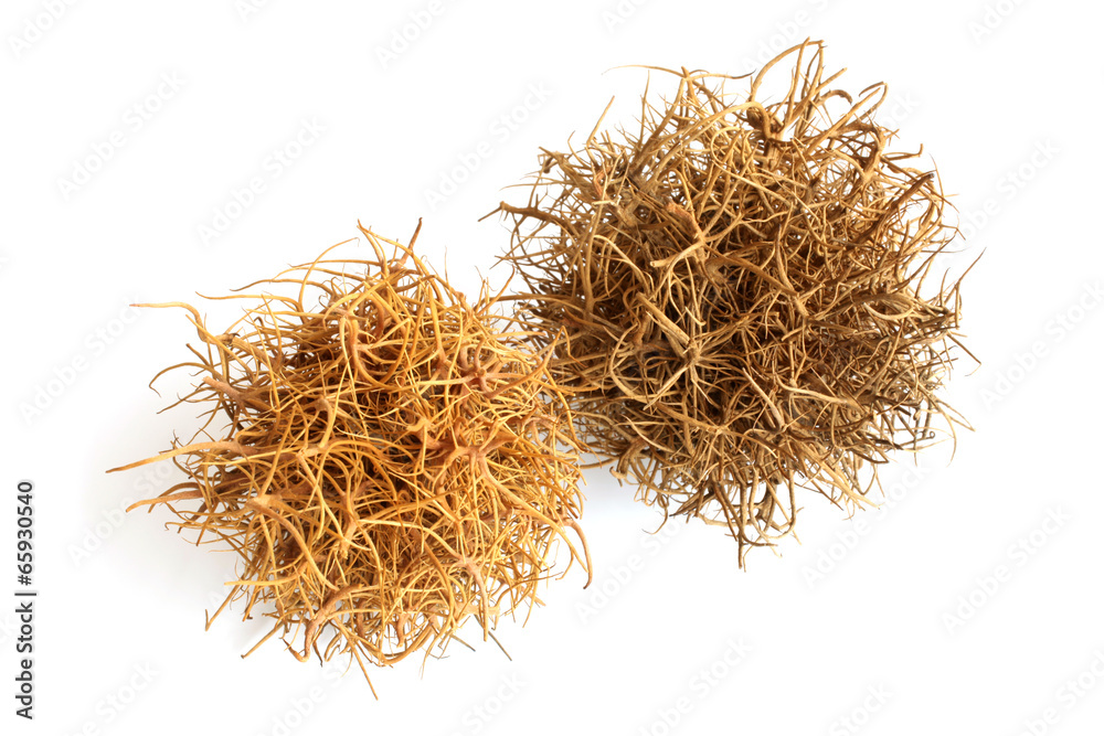 Tumbleweed on  white background