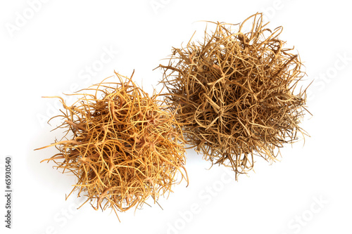 Photography Tumbleweed on  white background