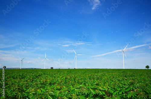 Wind Turbine Generators