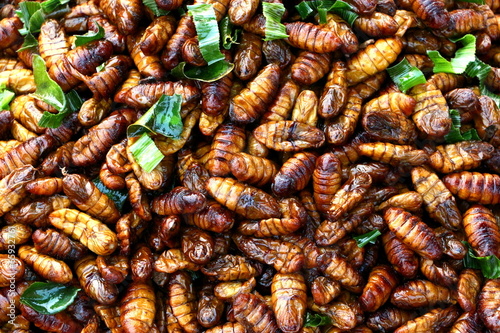 Fried insect larvae snack