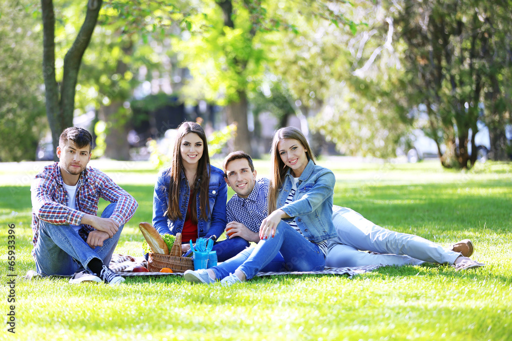 Happy friends on picnic in park Happy friends on picnic in park