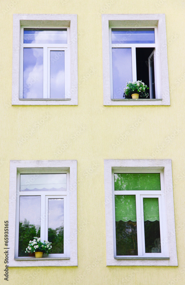 Windows with flowers in pots