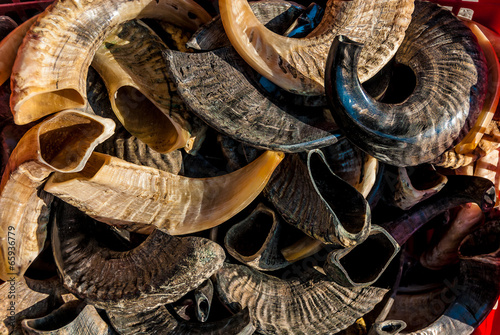 Принти на полотні Polished rams horns, shofars, in Jerusalem