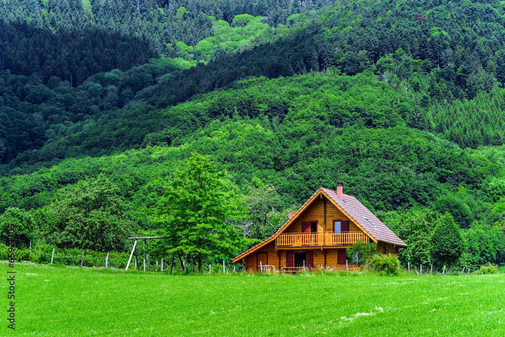 Beautiful vivid green fields in Alsace