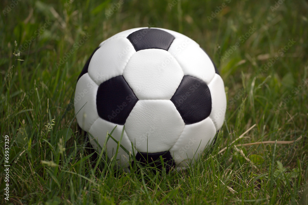 White and black ball for playing soccer in high green grass White and black ball for playing soccer in high green grass