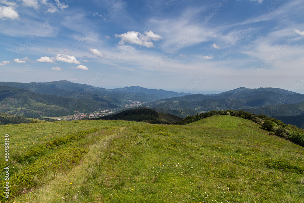 paysage des Vosges