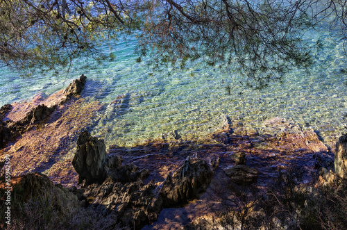 Wallpaper Mural The forest meets the sea Torontodigital.ca