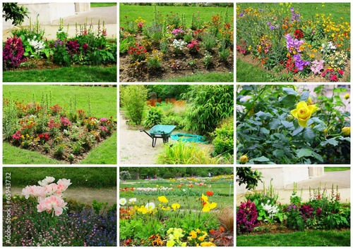 composition,parc floral,plantes et massif