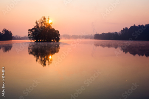 Trees on lake © Mihai Simonia