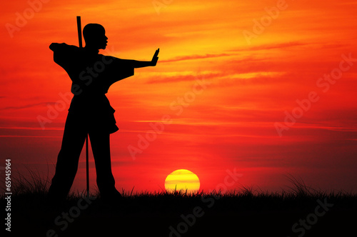 Tableau sur toile Kung fu silhouette at sunset