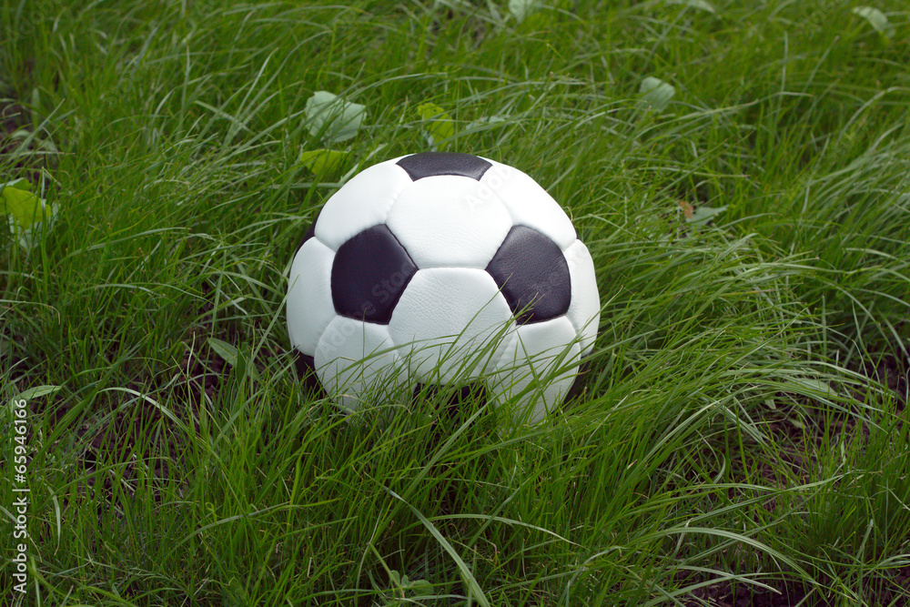 White and black ball for playing soccer in high green grass White and black ball for playing soccer in high green grass