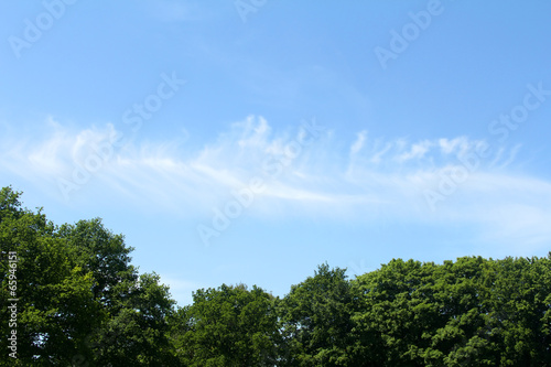The sky with clouds and trees