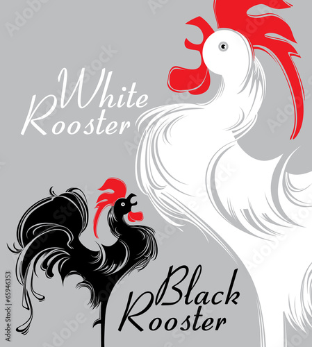 White Rooster. Black Rooster.