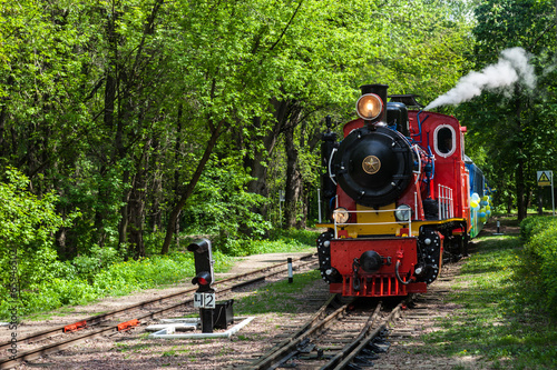 Steam locomotive going through the park
