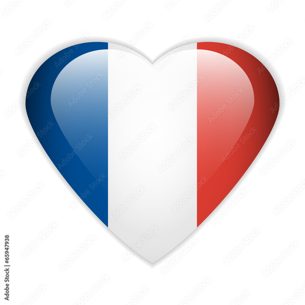 France flag button. France flag button.