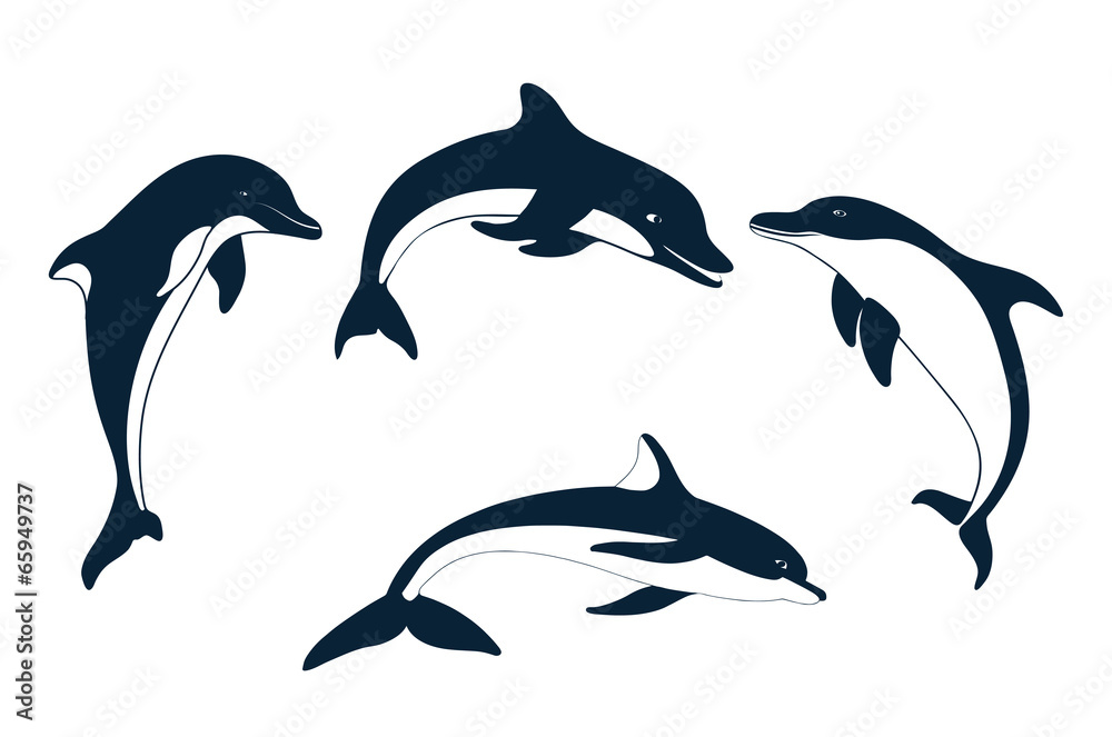 Naklejka premium Set of silhouettes of dolphin