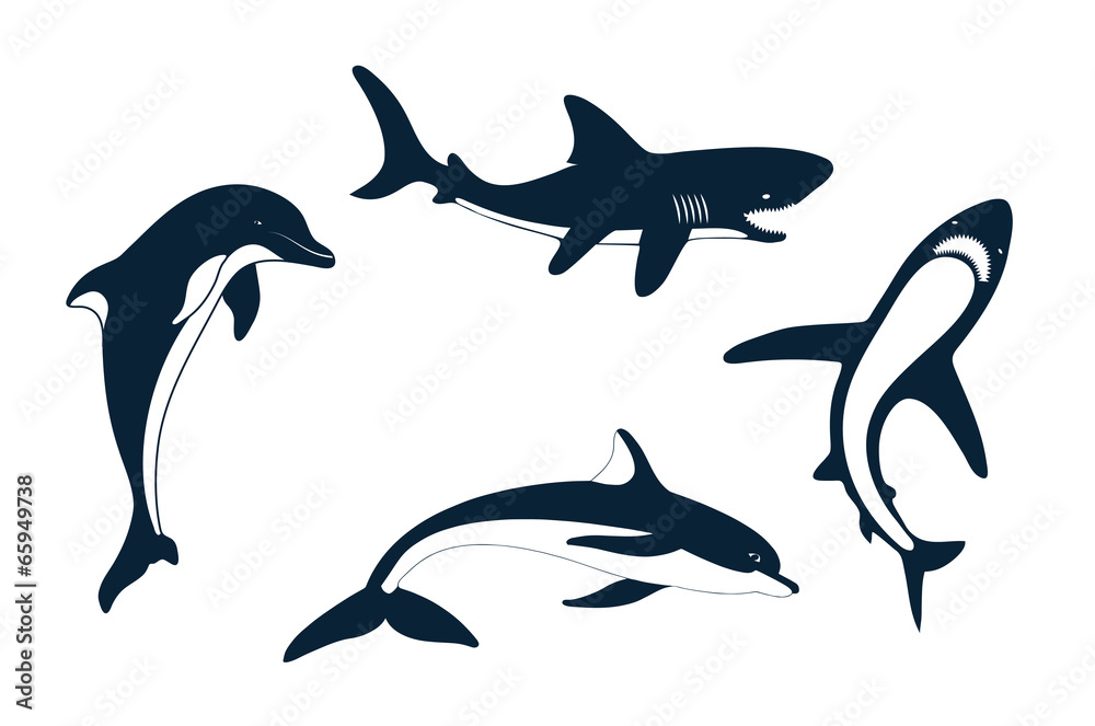 Fototapeta premium Set of silhouettes of a shark and dolphin