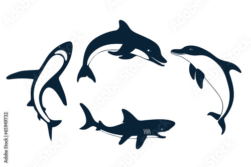 Set of silhouettes of a shark and dolphin