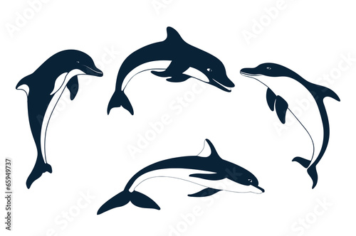 Obraz Zestaw sylwetki delfina