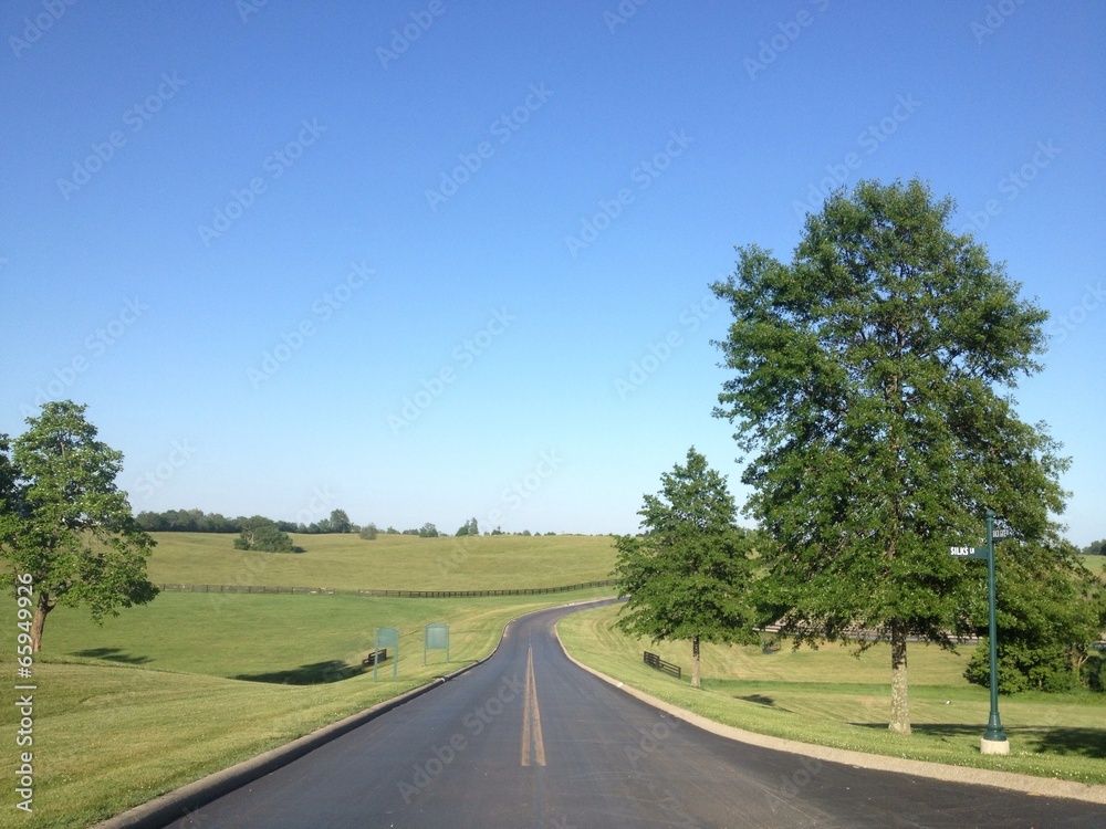 Fototapeta premium Empty country road