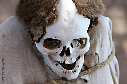 Konstfotografi Ancient Skulls