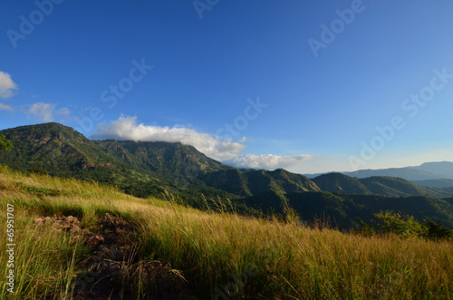 Grass Fields on Mountains