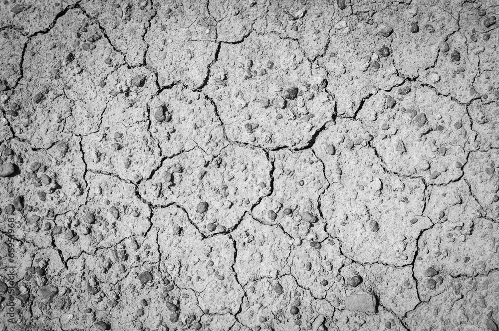 Dried earth texture Dried earth texture