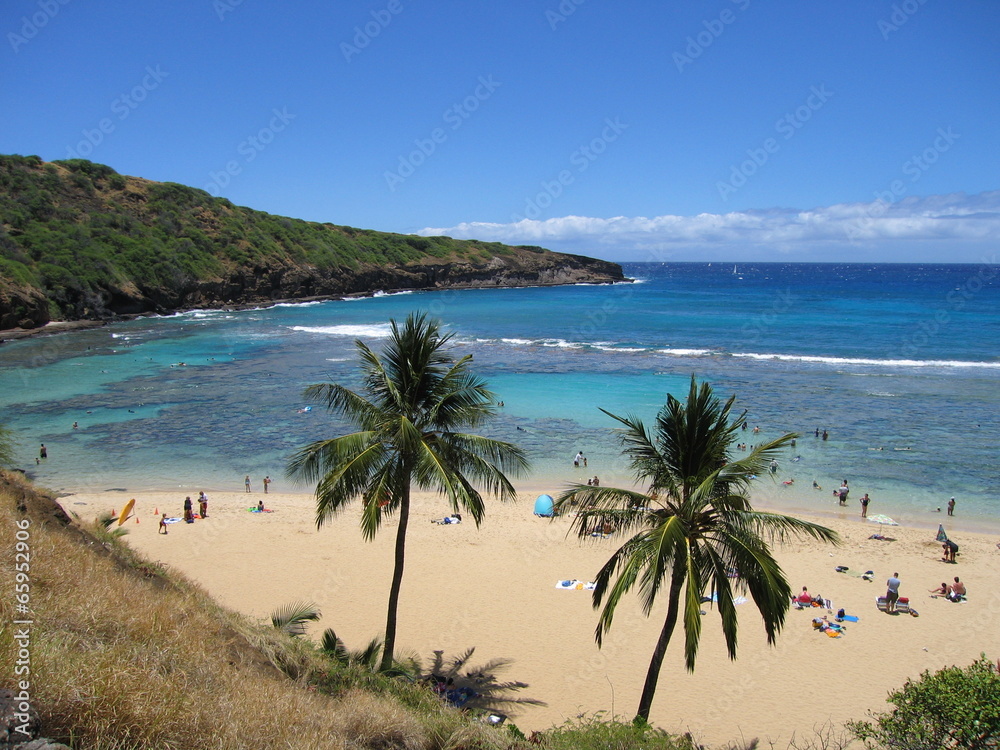 ハワイ, 岬, 浜, 海岸, ビーチ, hawaii, coast