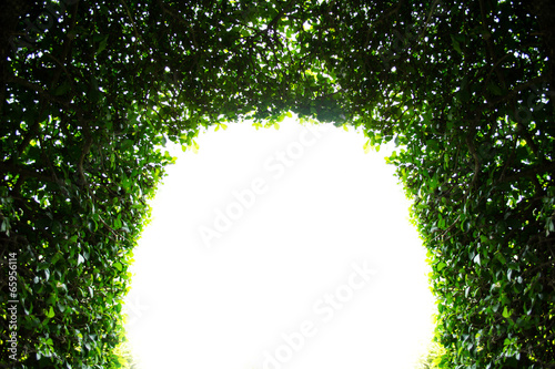 abstract green arch background