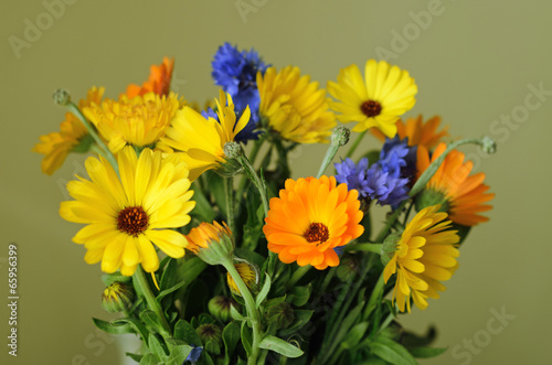 Beautiful bouquet of flowers with colorful petals