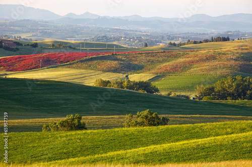 Countryside, San Quirico d`Orcia , Tuscany, Italy