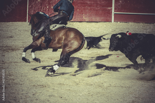 Fototapeta Naklejka Na Ścianę i Meble -  death, bullfight, traditional Spanish party where a matador figh