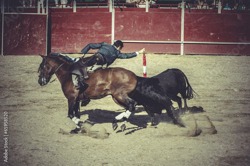 spectacle, bullfight, traditional Spanish party where a matador