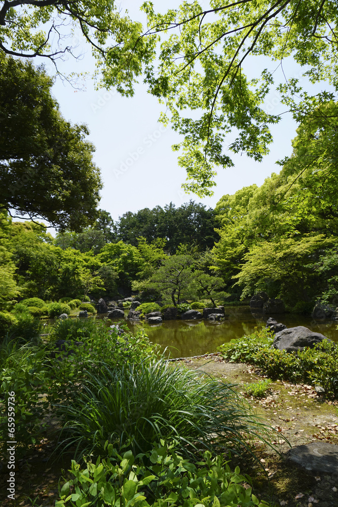 Fototapeta premium 日本庭園