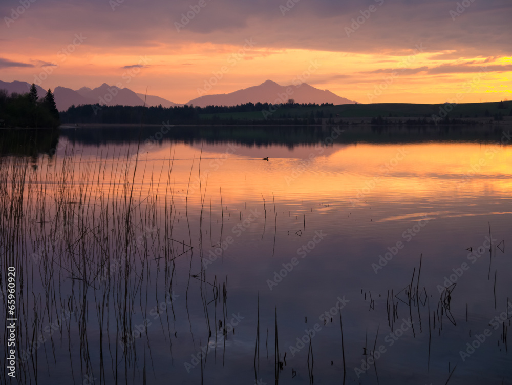 Fototapeta premium Abenddämmerung am Forggensee im Ostallgäu