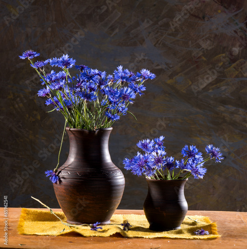 Beautiful blue cornflowers