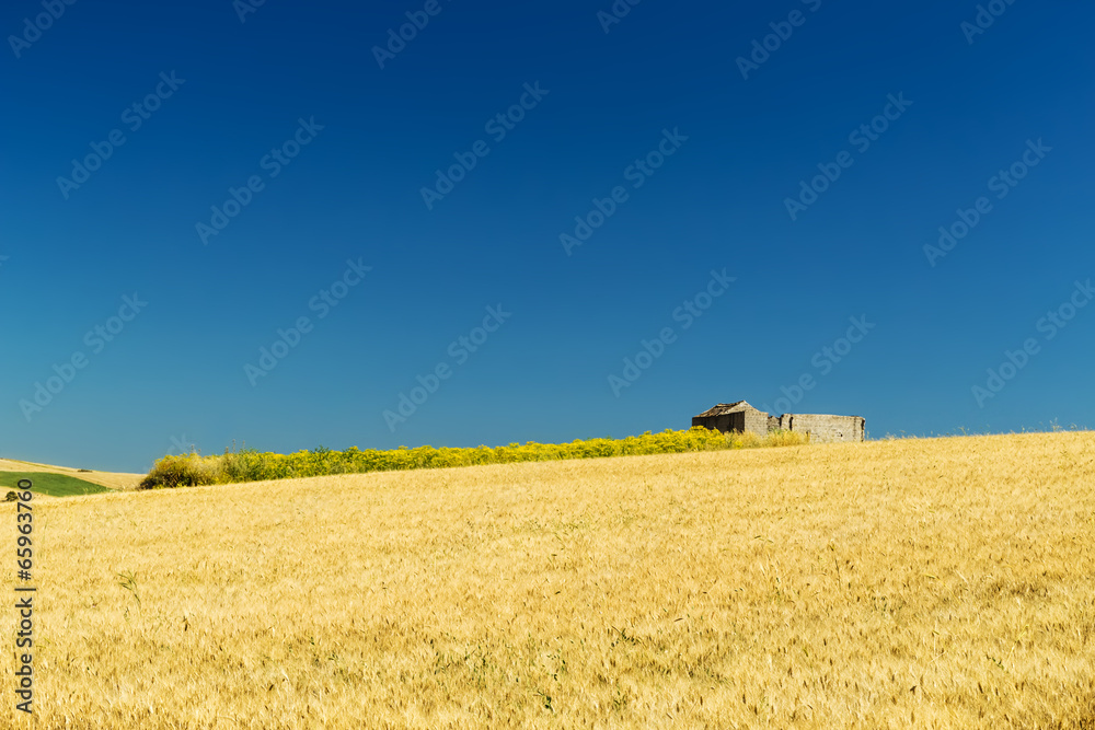 Fototapeta premium Land of Sicily