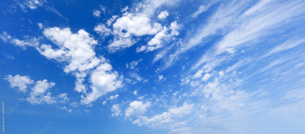 Sky daylight.
