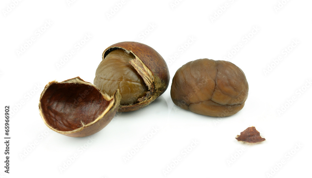 Chinese chestnut on white background Chinese chestnut on white background