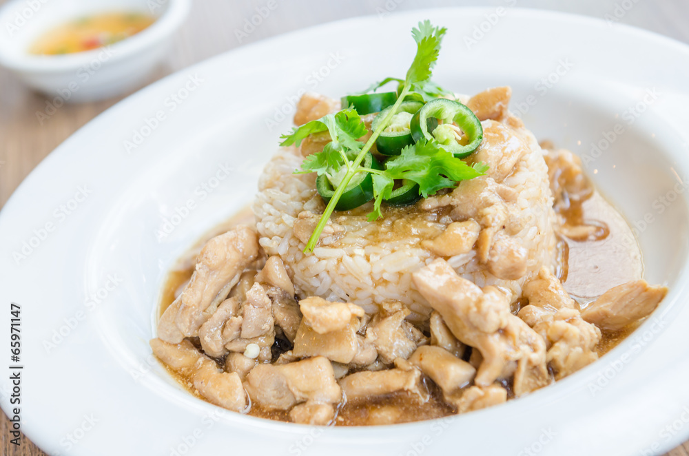 Chicken with brown sauce on rice