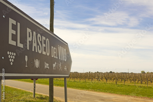 The wine walk, Uruguay