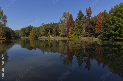 Arboretum