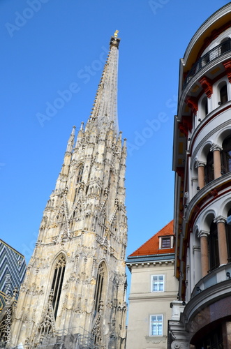 St. Stephan Cathedral in Vienna, Austria © lucazzitto