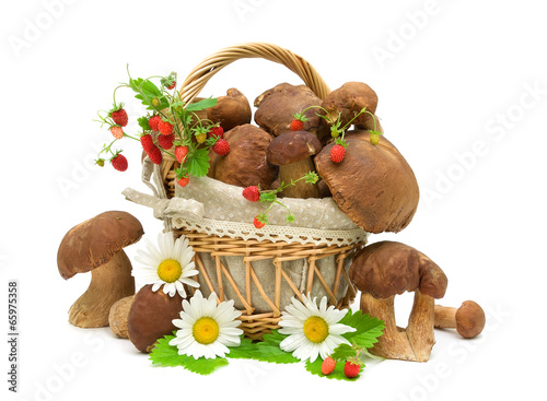 mushrooms, strawberries and chamomile flowers on white backgroun