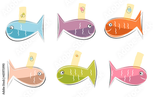 Petits poissons de couleurs