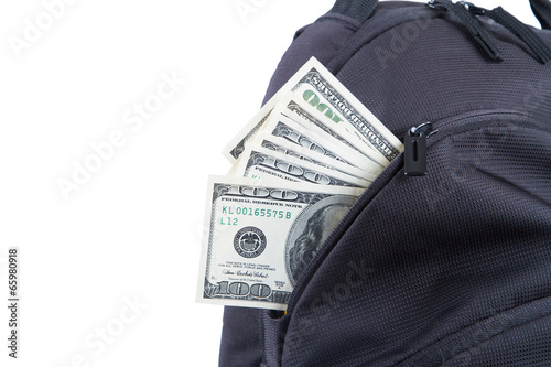 Back Pack with Dollar Banknotes