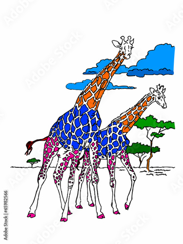 giraffe nella savana su sfondo bianco
