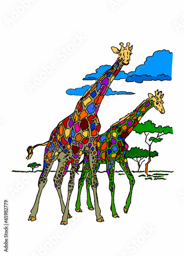 giraffe nella savana su sfondo bianco