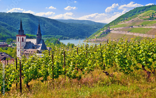 Weinberg mit Bingener Basilika, Mäuseturm, Rhein und Ehrenfels
