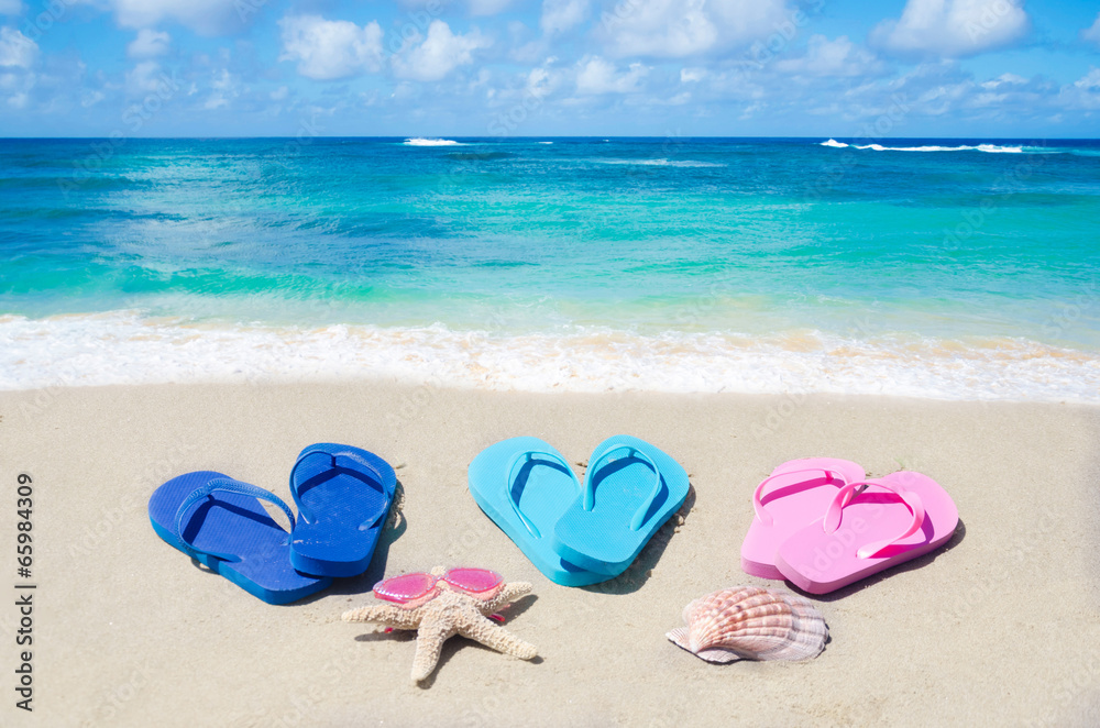 Flip flops, seashell and starfish Flip flops, seashell and starfish